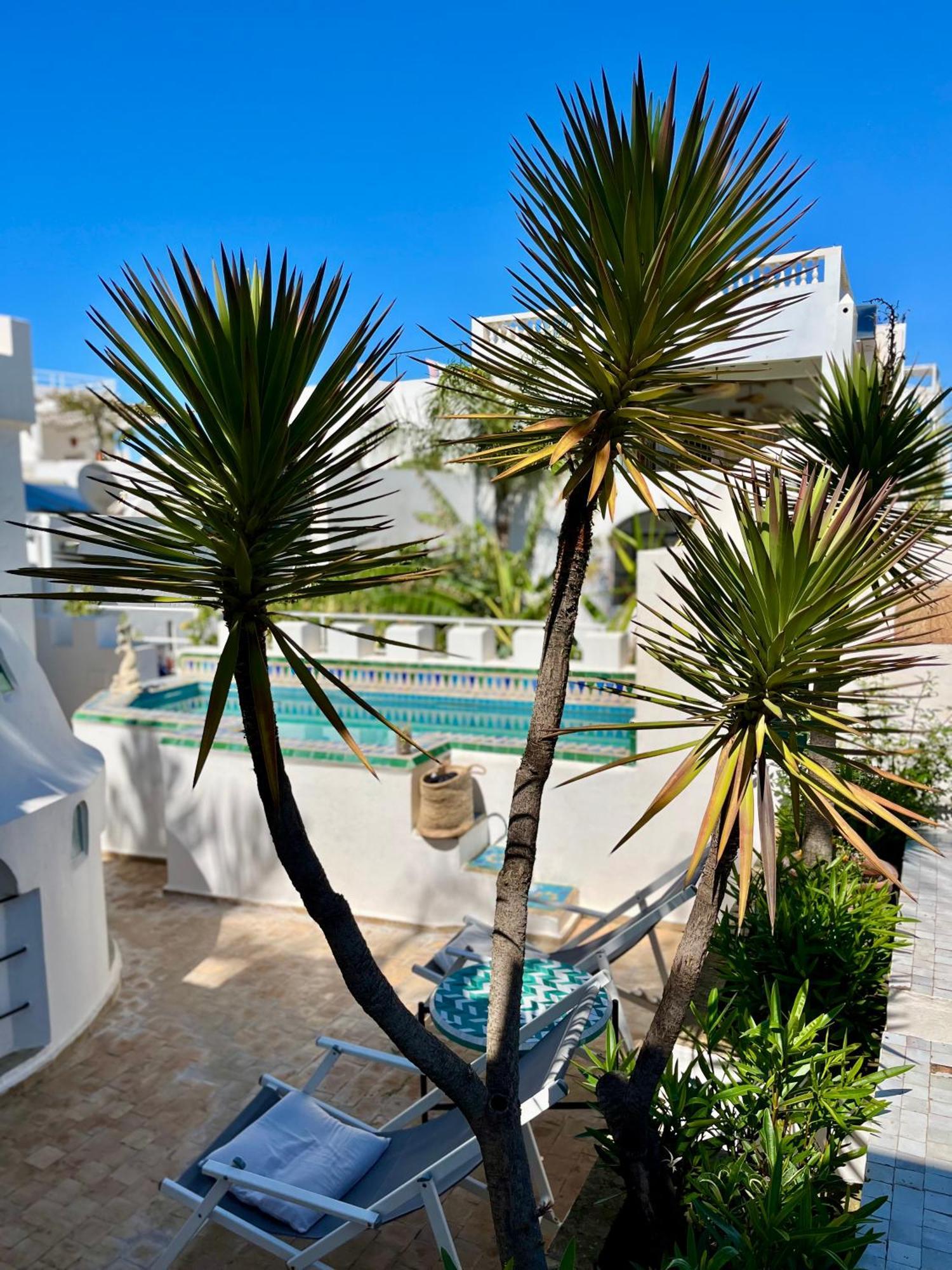 Riad Oasis D'Asilah Bagian luar foto